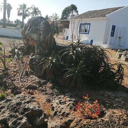 Duas Casas De Ferias Medronhal Faro Em 520 - 2 Exteriér fotografie