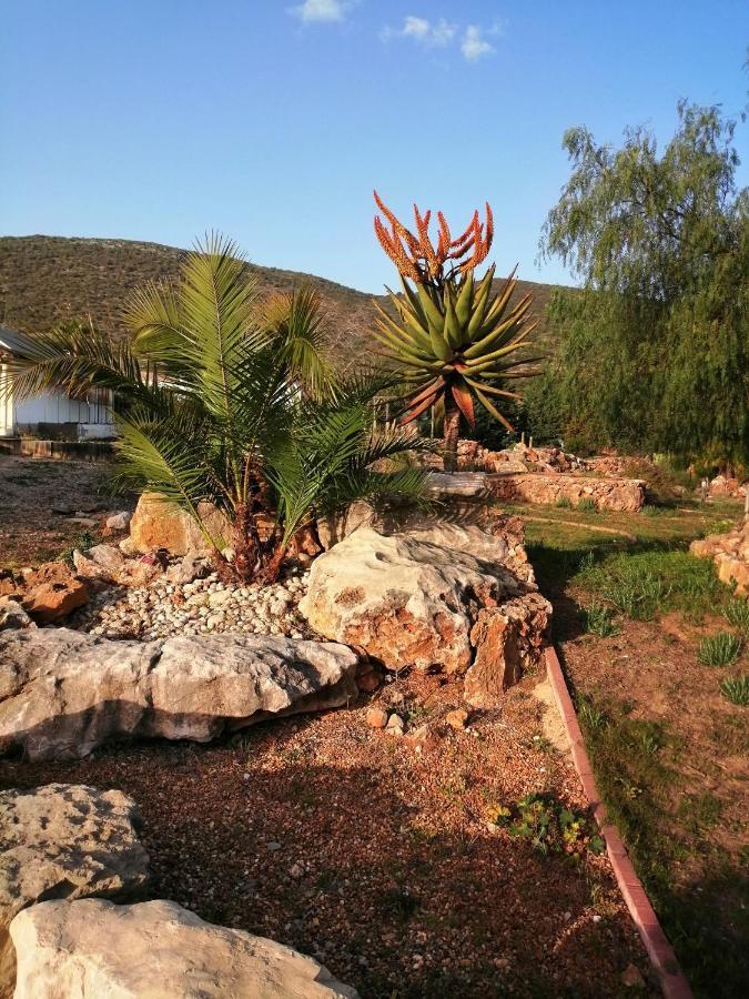 Duas Casas De Ferias Medronhal Faro Em 520 - 2 Exteriér fotografie