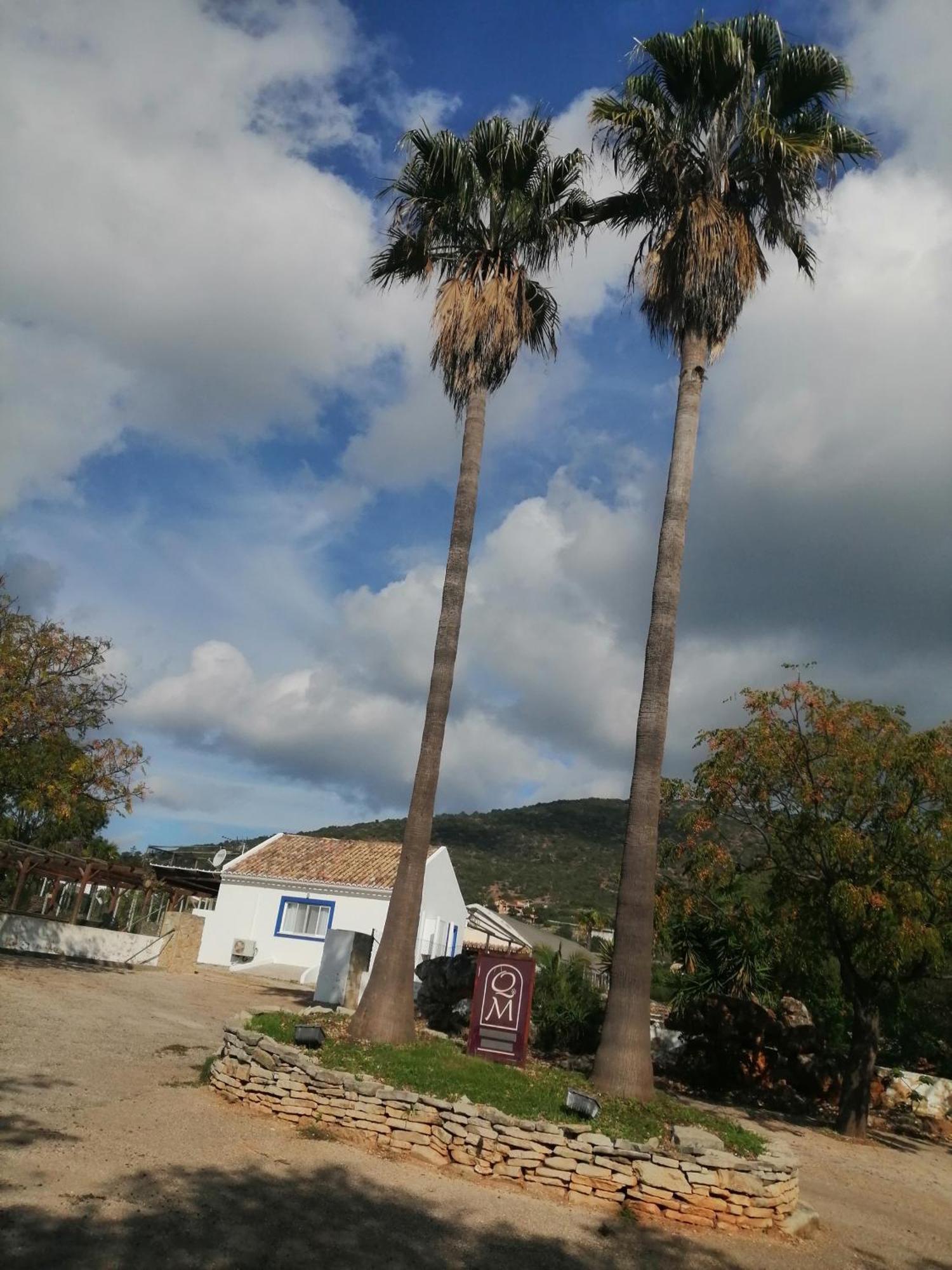Duas Casas De Ferias Medronhal Faro Em 520 - 2 Exteriér fotografie