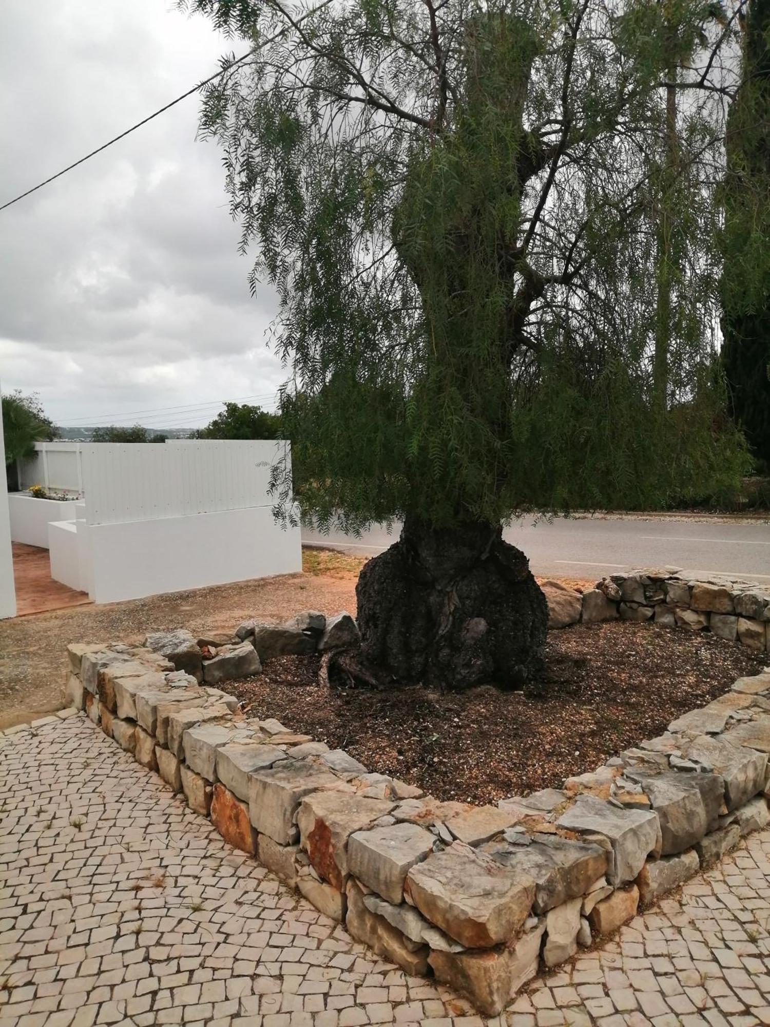 Duas Casas De Ferias Medronhal Faro Em 520 - 2 Exteriér fotografie